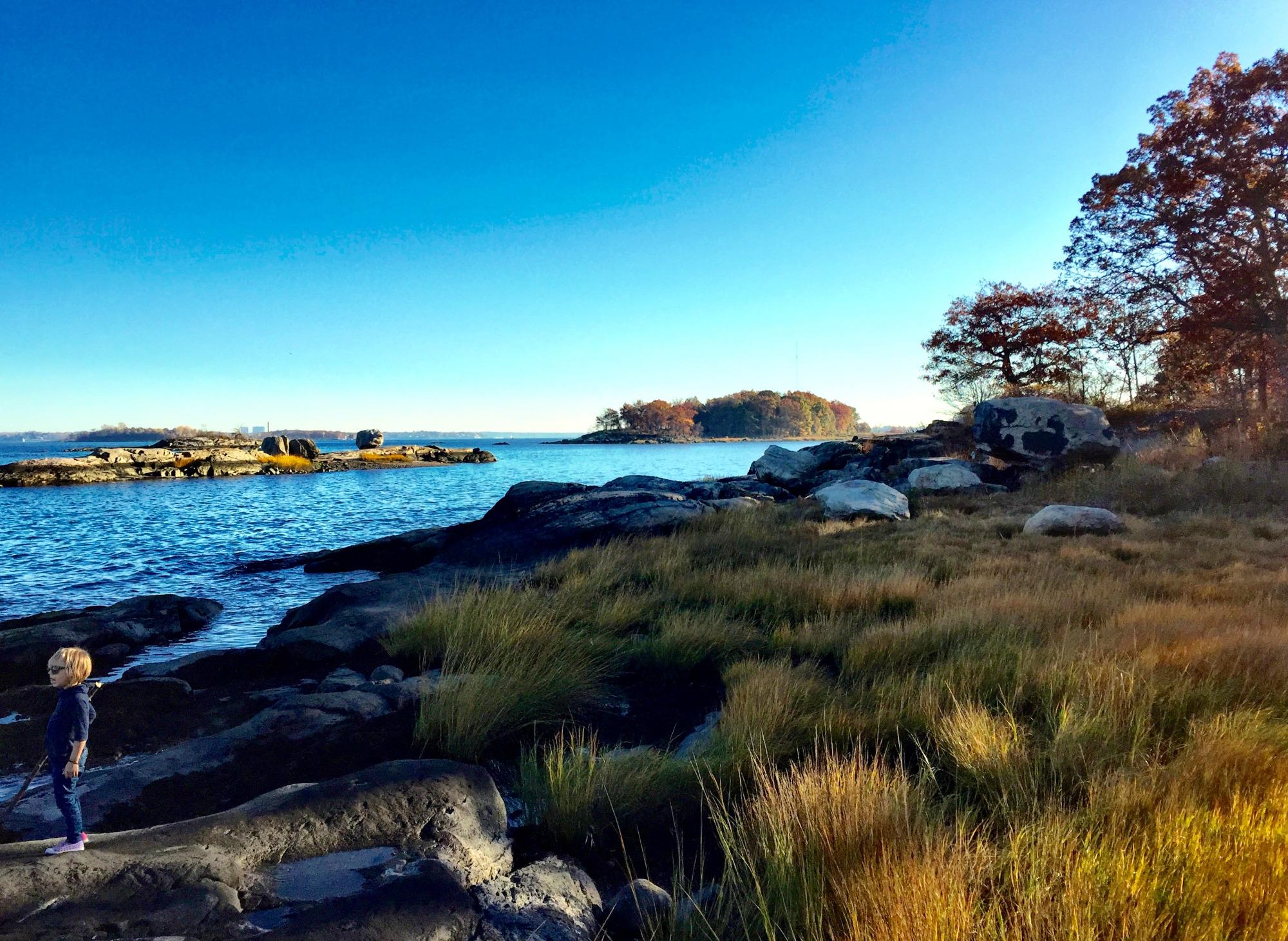 Pelham Bay Park Rentals