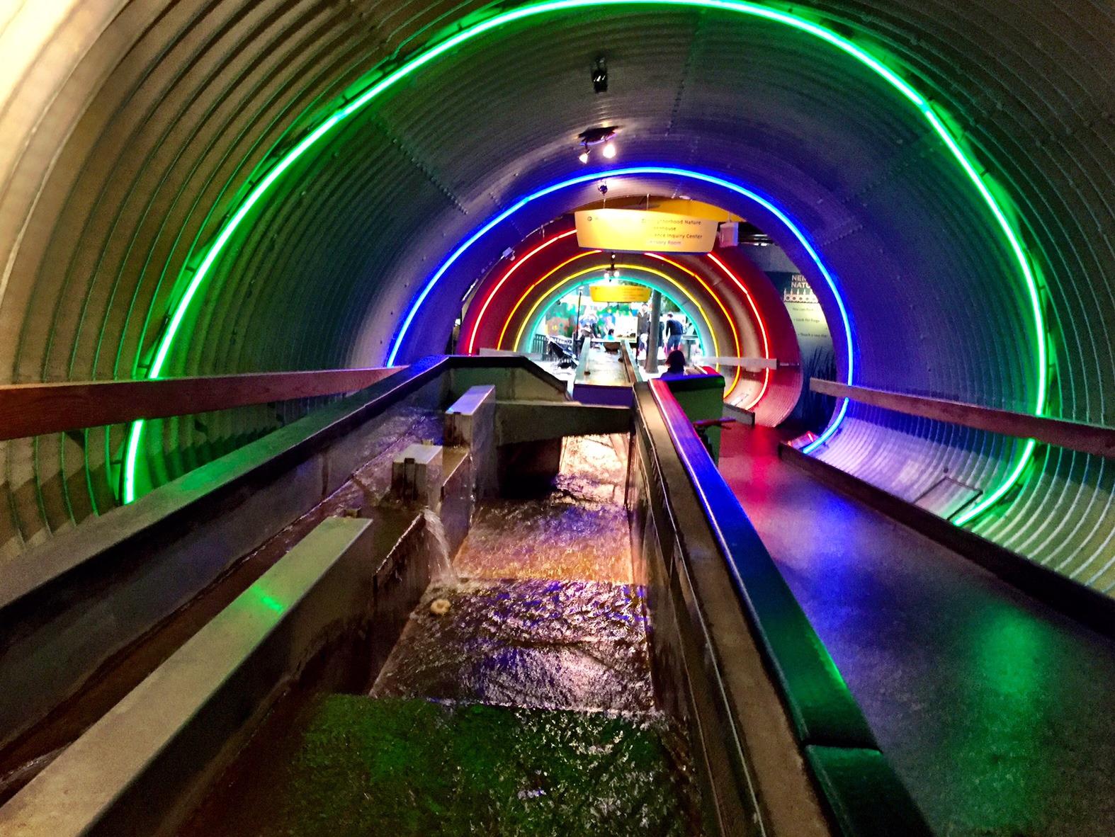 Brooklyn Children's Museum Locations