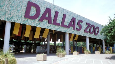 Aluguel de Dallas Zoo