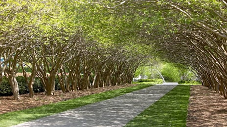 Aluguel de The Dallas Arboretum and Botanical Garden