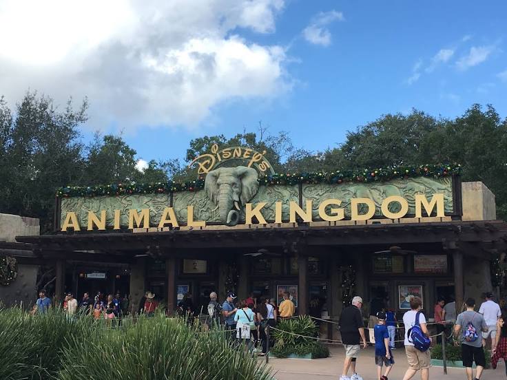 Disney's Animal Kingdom Theme Park Rentals