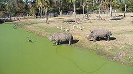 Jacksonville Zoo and Gardens Rentals