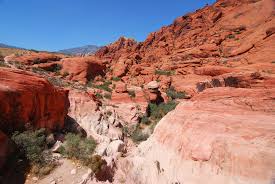 Red Rock Canyon National Conservation Area Rentals