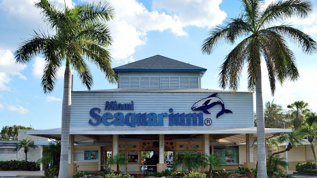 Miami Seaquarium Rentals