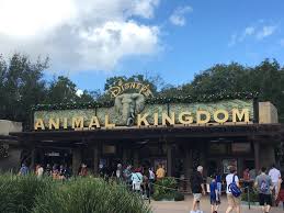Disney's Animal Kingdom Theme Park