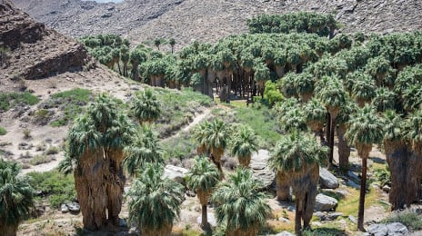 Indian Canyons Locations Indian Canyons Locations