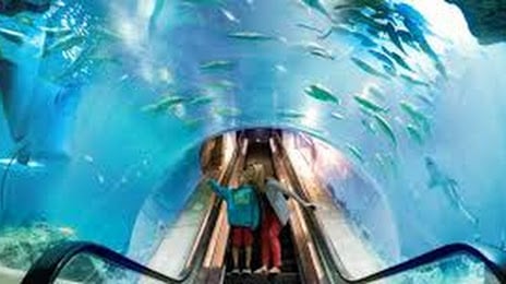 OdySea Aquarium Aluguéis OdySea Aquarium Aluguéis