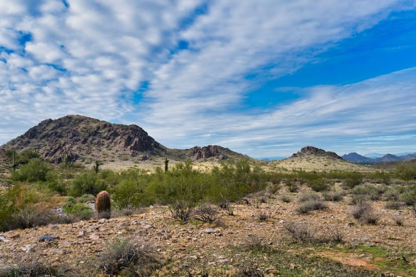 Phoenix Mountains Preserve Aluguéis Phoenix Mountains Preserve Aluguéis