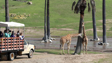San Diego Zoo Safari Park Rentals