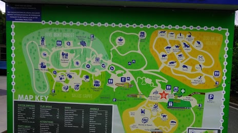 Alquileres de Happy Hollow Park & Zoo