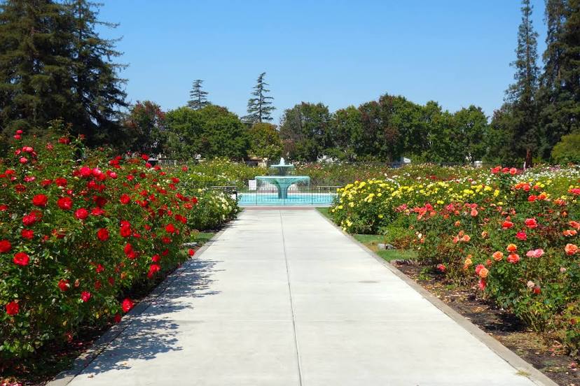 Alquileres de Municipal Rose Garden