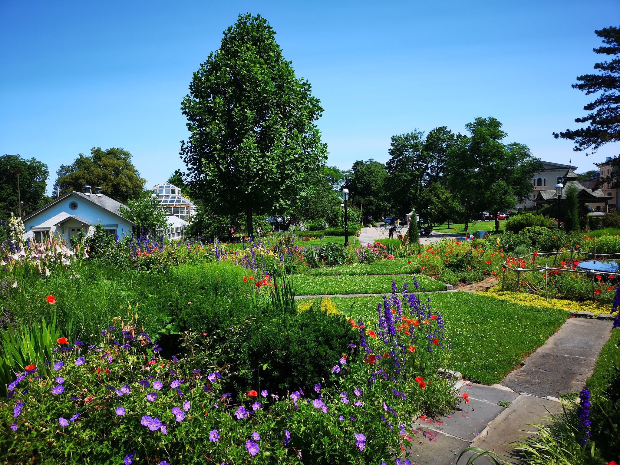 New York Chinese Scholar's Garden Rentals