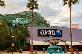 The Florida Aquarium Rentals