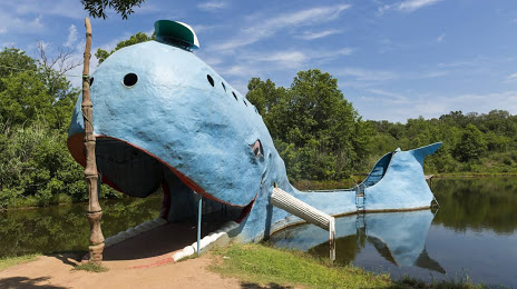 Blue Whale of Catoosa Rentals