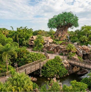 Animal Kingdom 