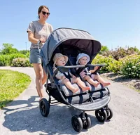 Double stroller for a family park day