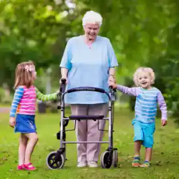 Walker Rollator (fully featured) Product image 350w 1