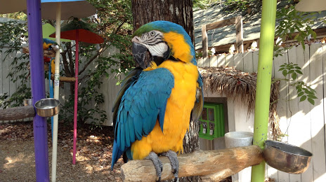 Parrot Mountain and Gardens Rentals
