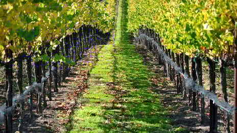 Alquileres de MJA Vineyards -- Westside Tasting Room & Cellar