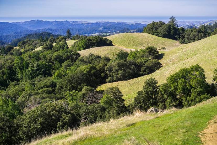 Alquileres de Santa Cruz Mountains