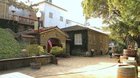 Alquileres de Testarossa Winery
