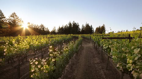 Alquileres de Wrights Station Vineyard & Winery