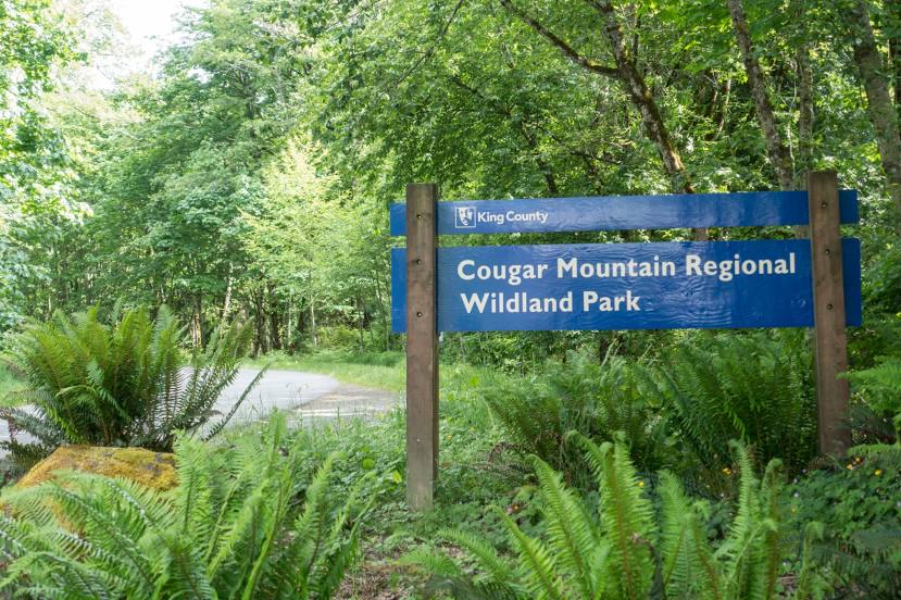 Cougar Mountain Regional Wildland Park Rentals