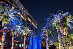 Grand Hyatt Tampa Bay