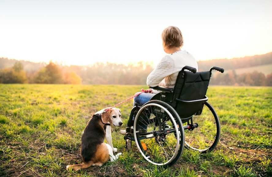 woman on wheelchair with dog - Cloud of Goods