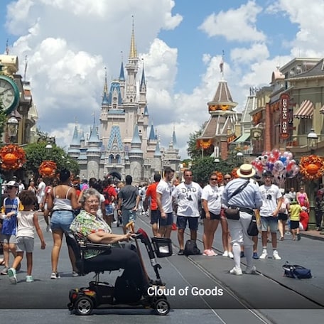 Disney World Customer - Cloud of Goods