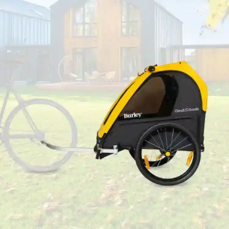 Kid's Bike Trailer rental 
