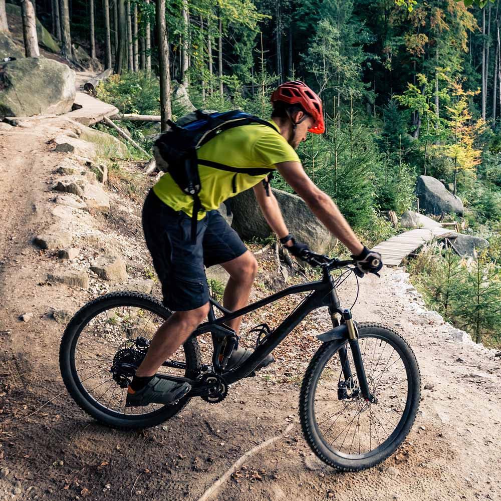 Rent mountain bikes near me sale