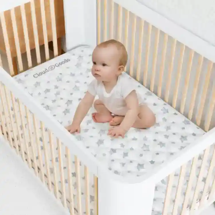 Crib Mattress rental 