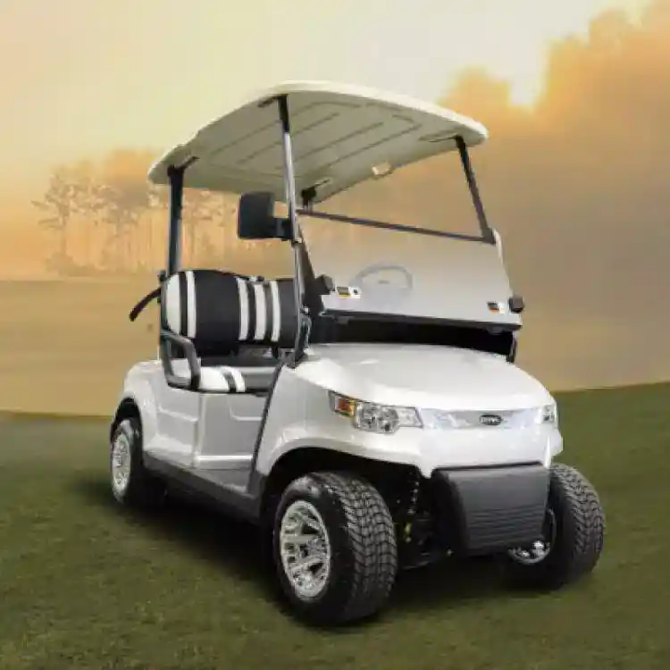 2 Seater golf cart - gas powered rental 