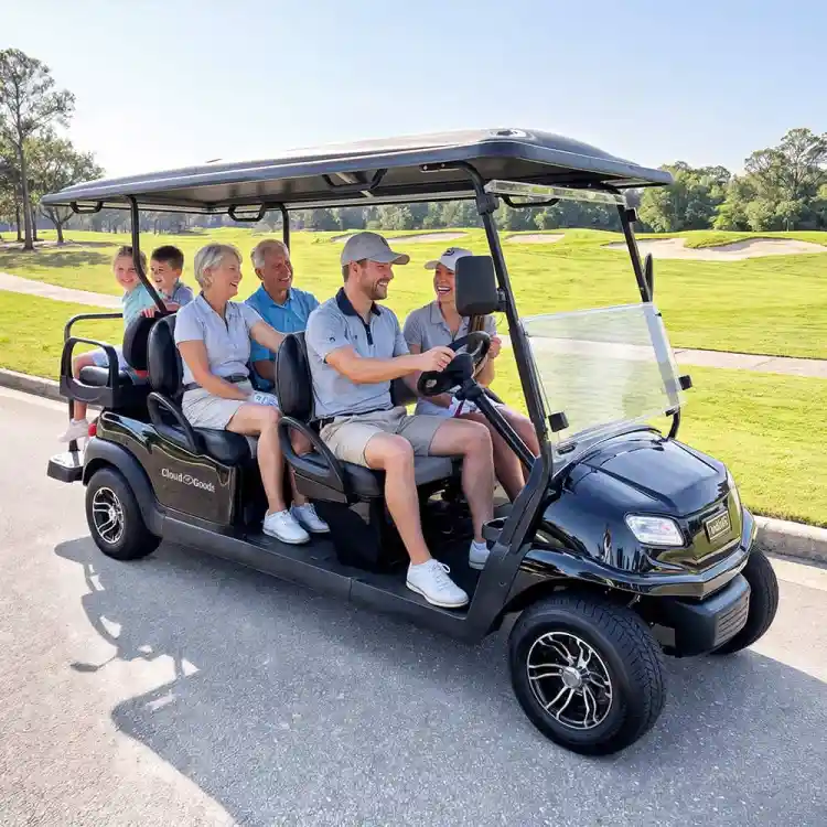 6 Seater golf cart - electric rental 
