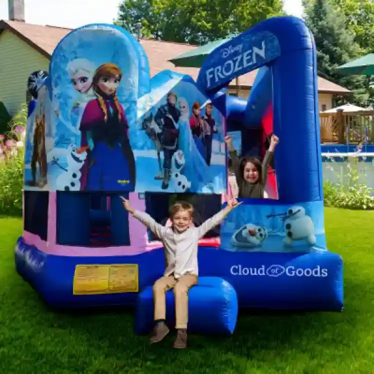 Disney frozen bounce house rental 