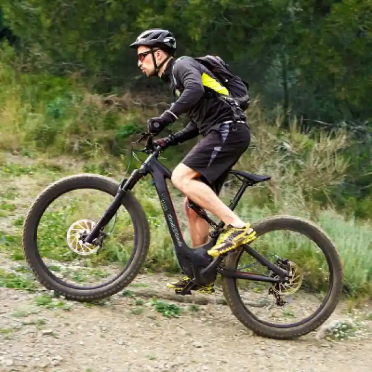 Electric bike rental 