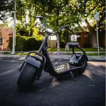 Koto Washi rental Berkeley