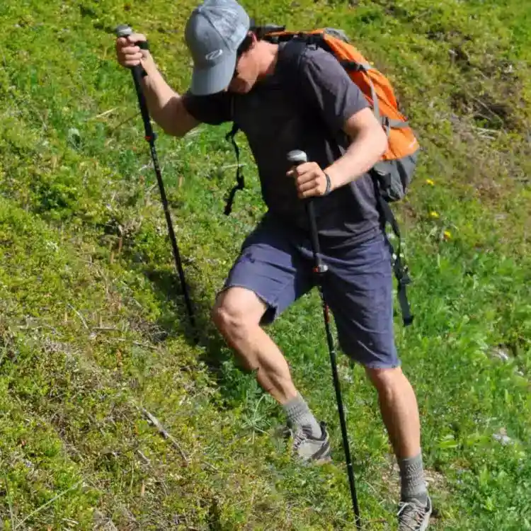 Hiking/ trekking poles rental 