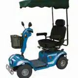 Canopy for Mobility Scooter rentals in Orlando - Cloud of Goods