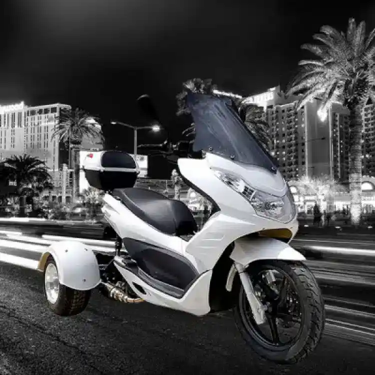 IceBear Trike rental 