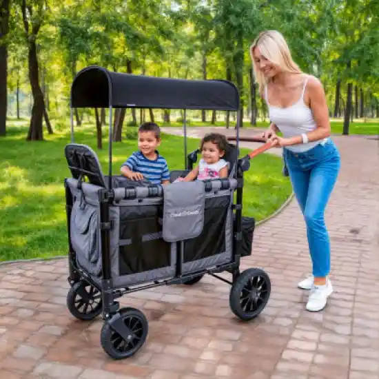 Wonderfold 2-Seater Stroller Wagon Baton Rouge, LA | CloudofGoods