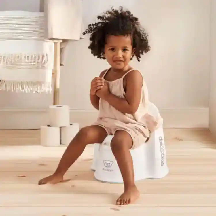 Potty Chair rental 