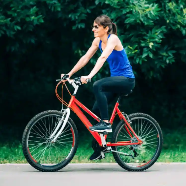 Women's hybrid bike rental 