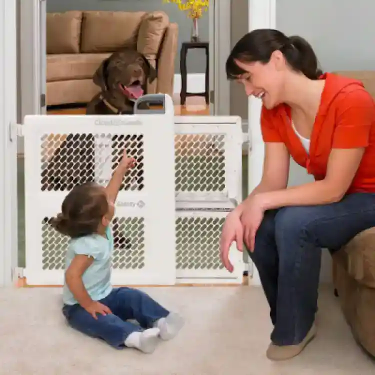Baby Gate rental 