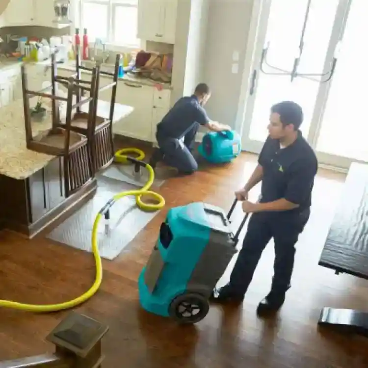 Commercial Dehumidifier rental 