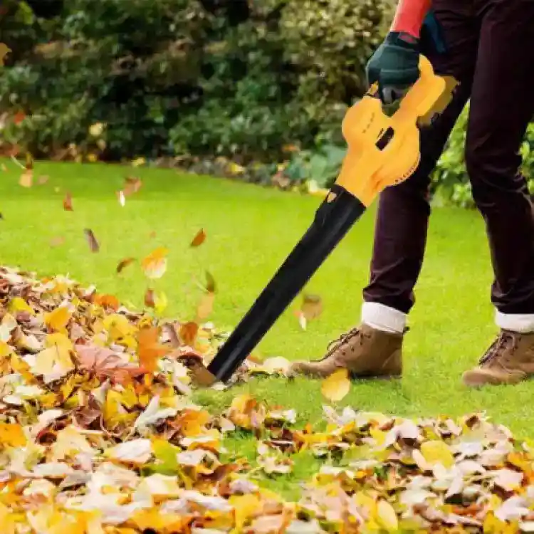 Leaf Blower rental 