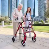 Andador Rollator (completo)