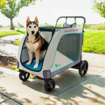 Heavy Duty Pet Stroller rental Berkeley