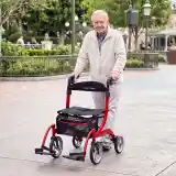 Duet Rollator and Transport Chair